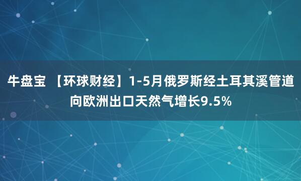 牛盘宝 【环球财经】1-5月俄罗斯经土耳其溪管道向欧洲出口天然气增长9.5%