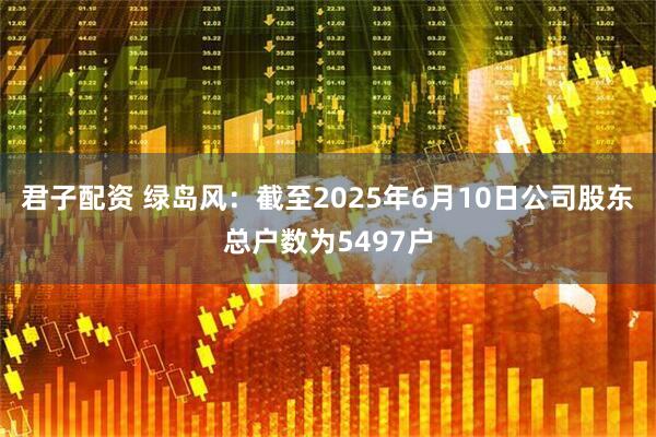 君子配资 绿岛风：截至2025年6月10日公司股东总户数为5497户
