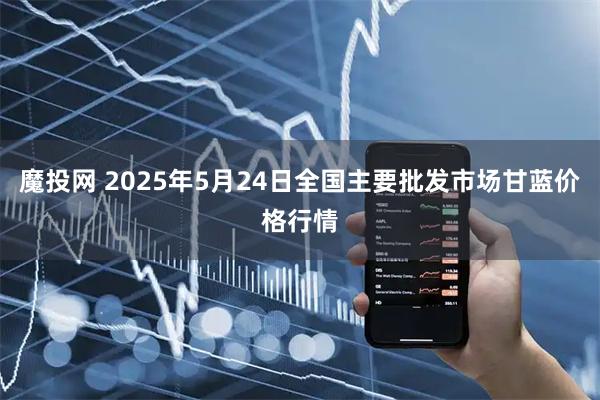 魔投网 2025年5月24日全国主要批发市场甘蓝价格行情