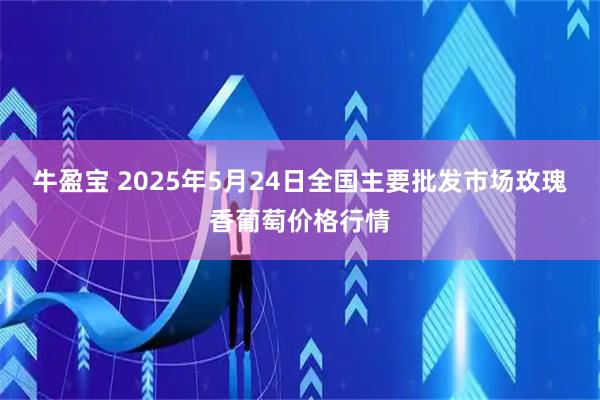 牛盈宝 2025年5月24日全国主要批发市场玫瑰香葡萄价格行情